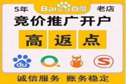 SEM服务公司助力电商增长案例